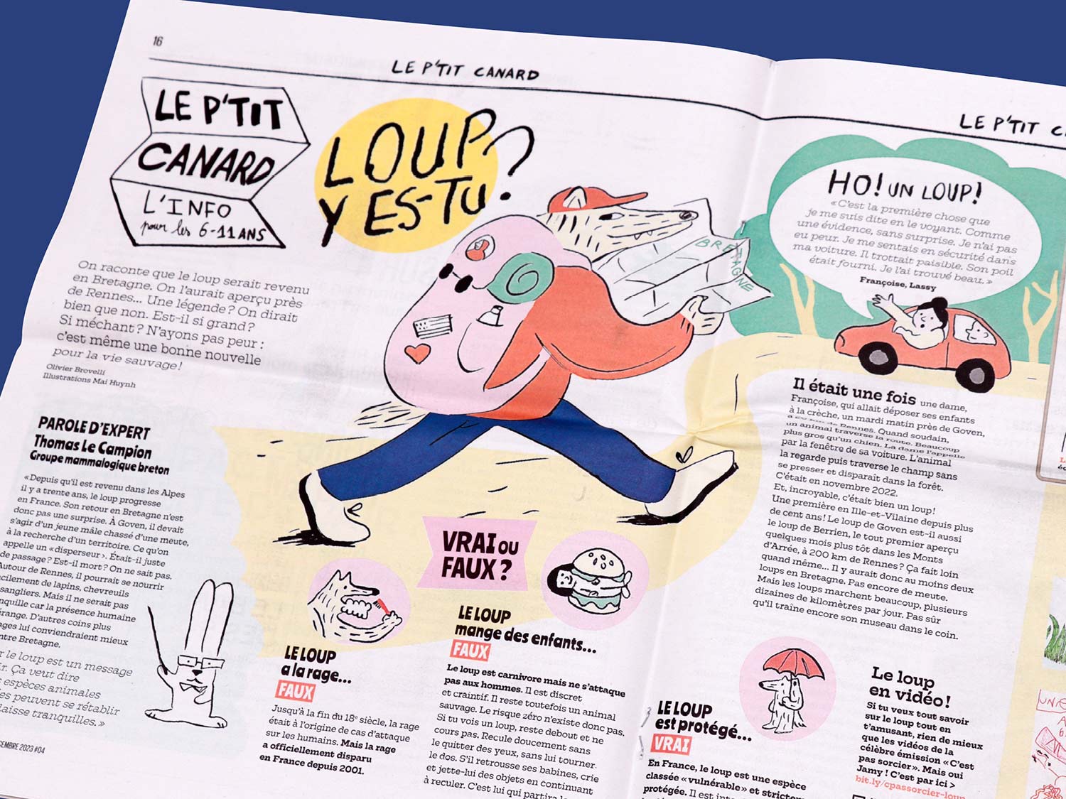 Le petit canard, Le loup