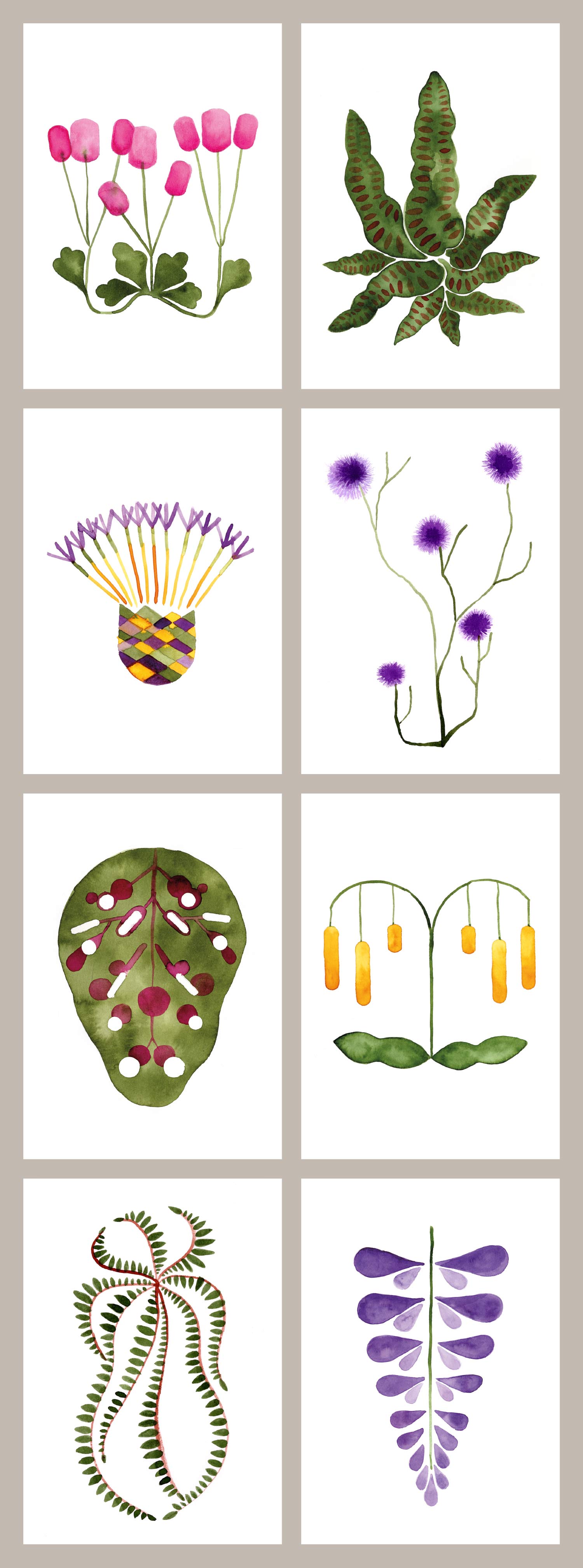 Cartes plantes