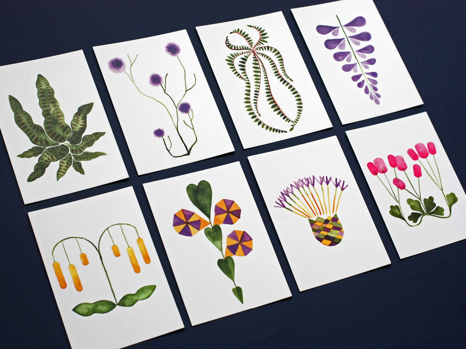 Cartes plantes, encre.